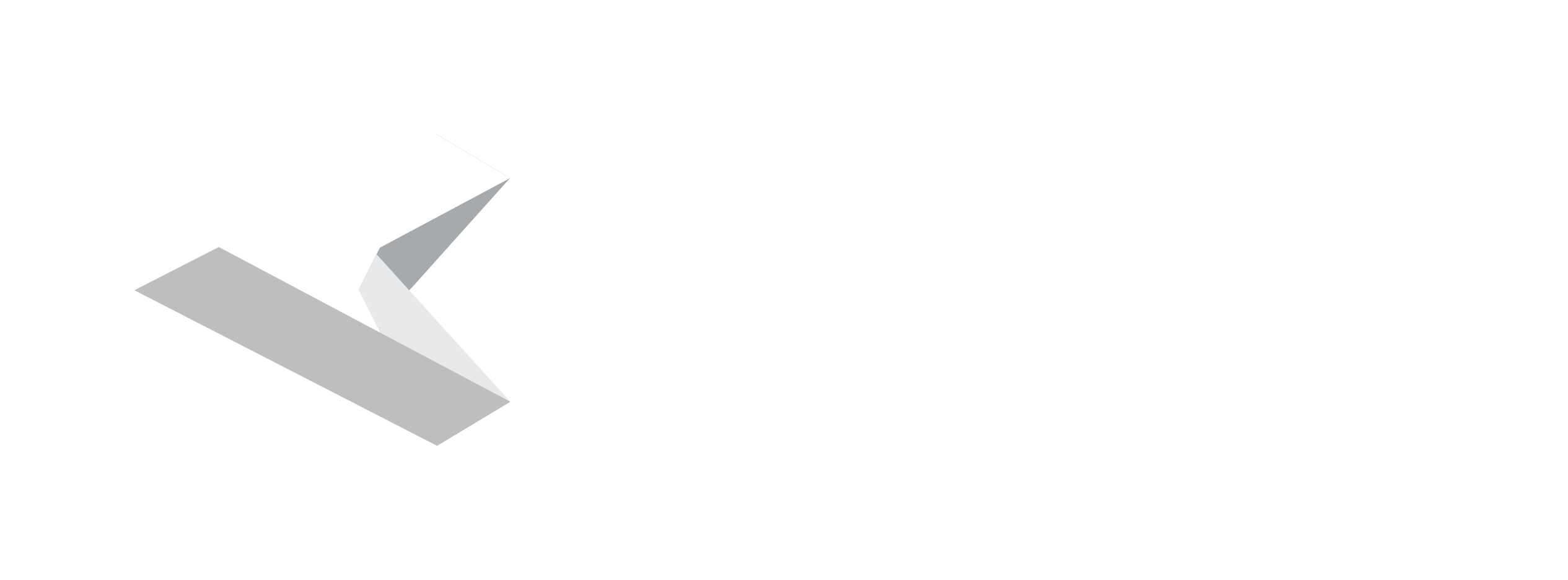 FlexiEPM logo BW
