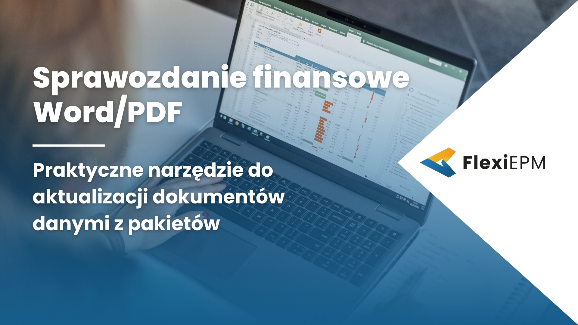 Program do sprawozdań finansowych